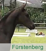 Frstenberg
