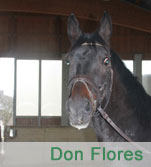 Don Flores